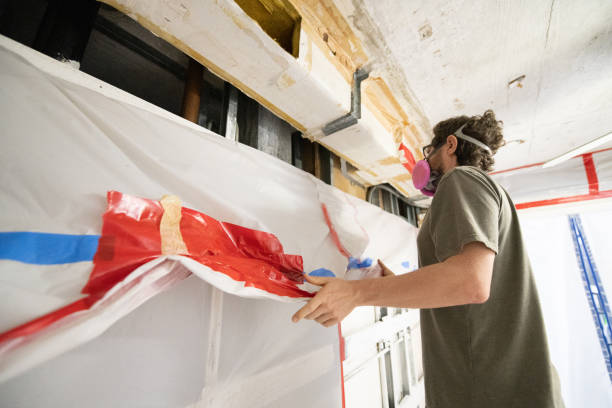Reliable Roessleville, NY Mold Removal Solutions